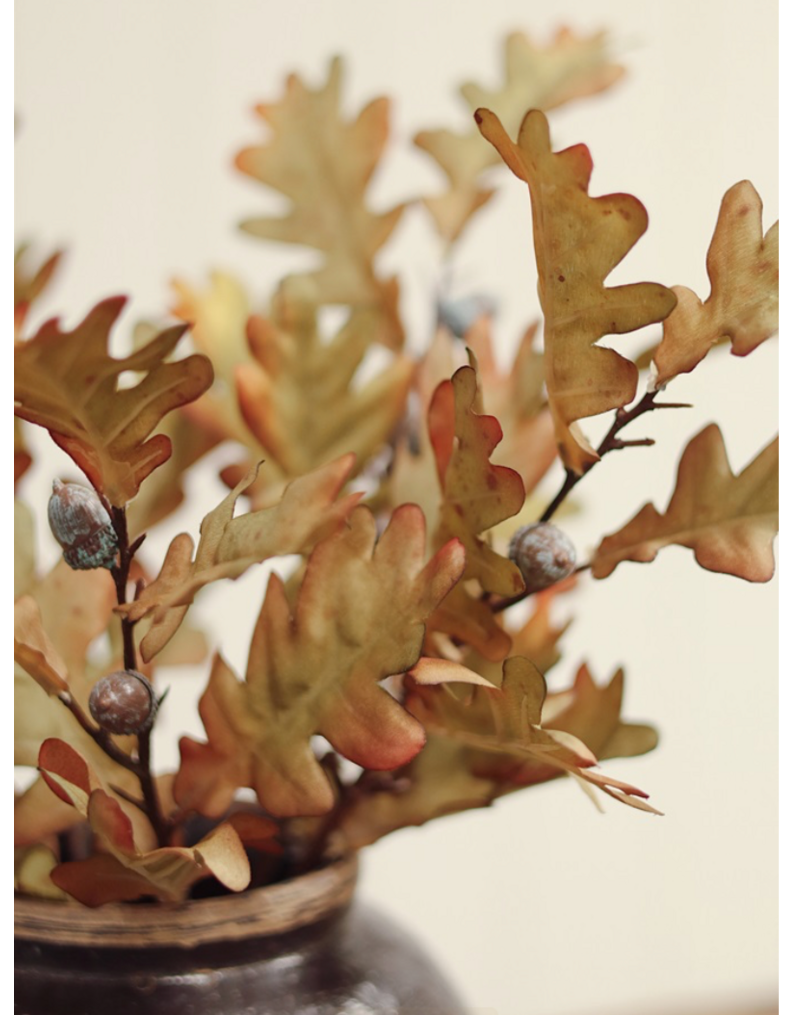 Oak Leaf Spray