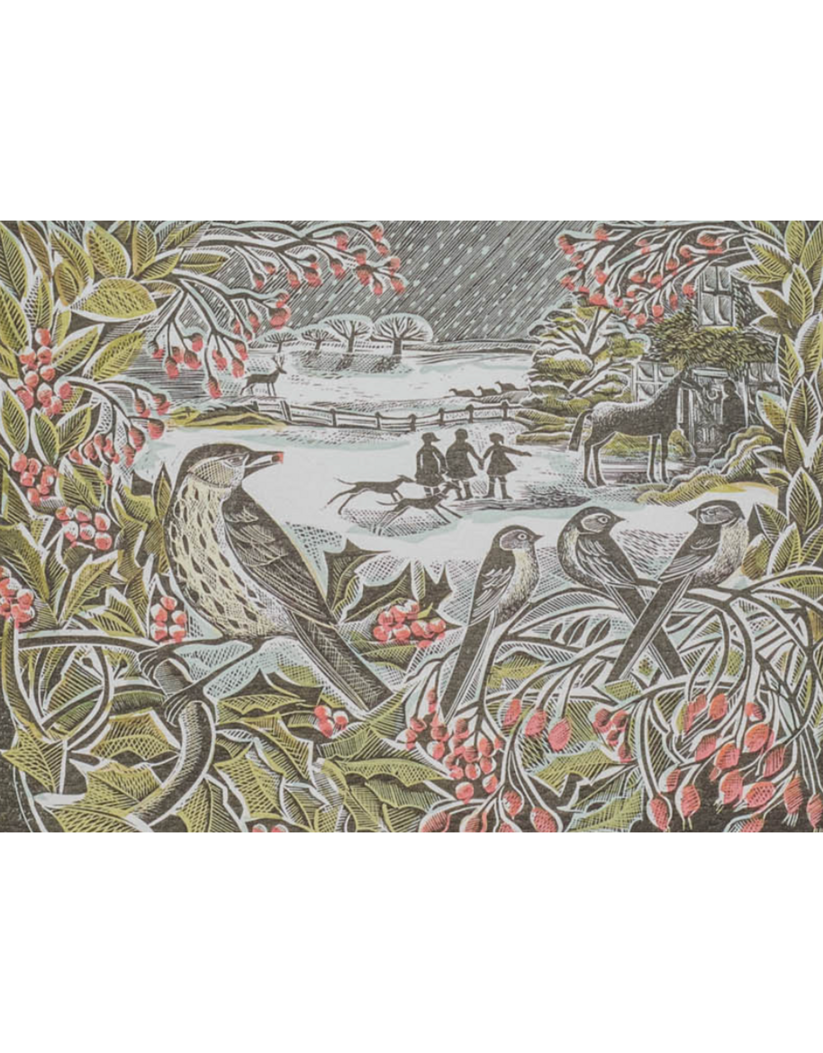 Holly Hedge - Boxed Cards