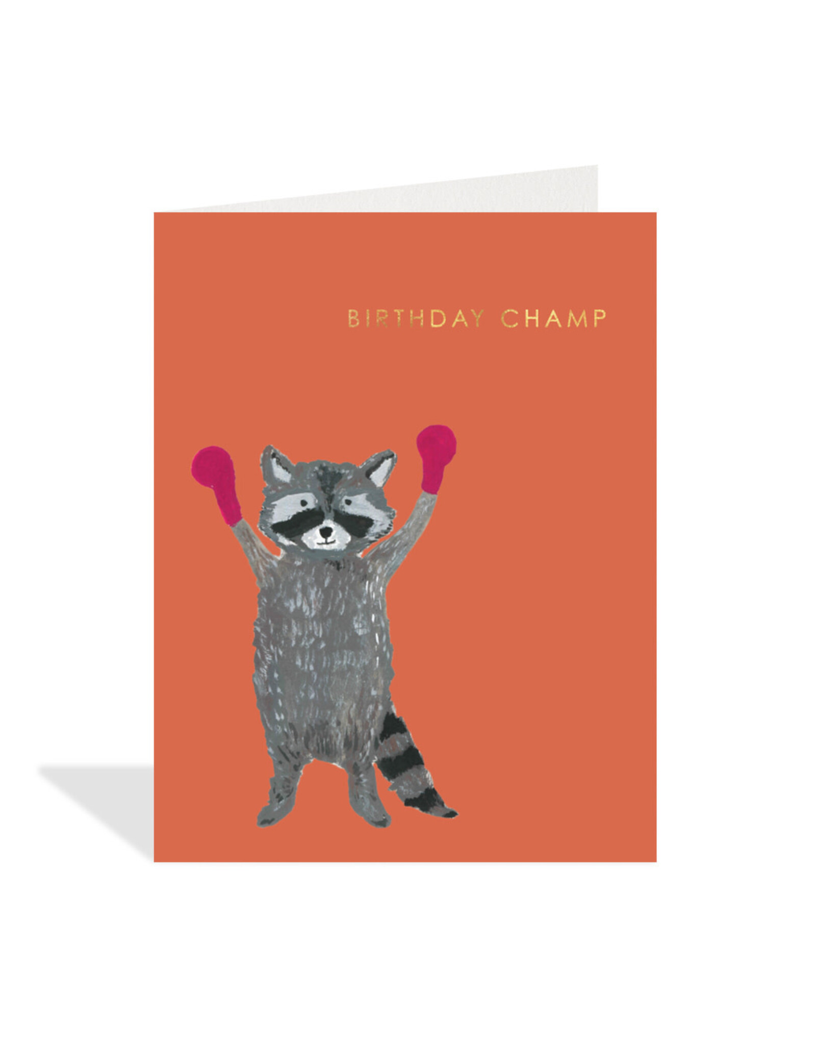 Birthday - Boxing Raccoon