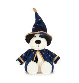 Rufferty Puppy Wizard Outfit