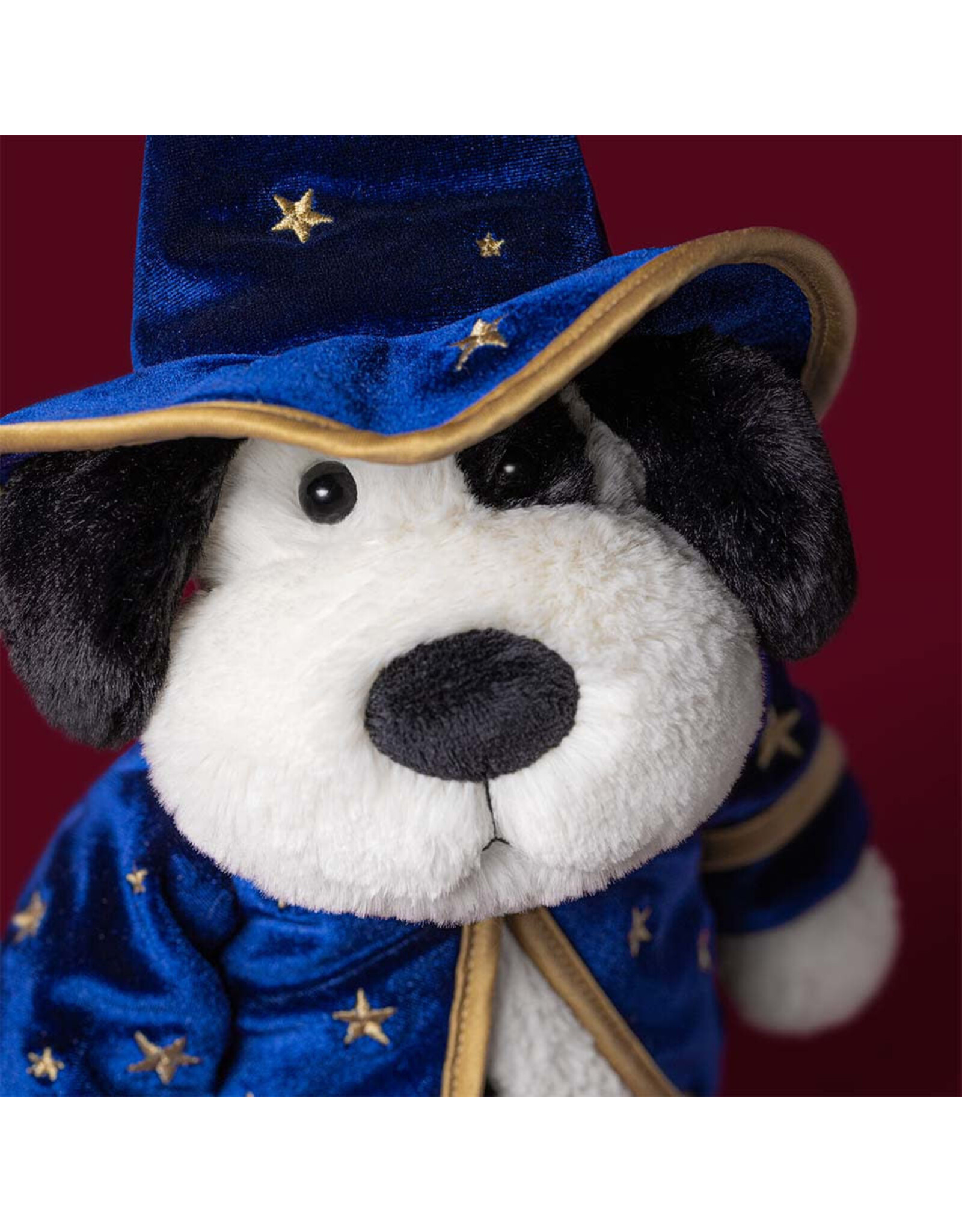 Rufferty Puppy Wizard Outfit