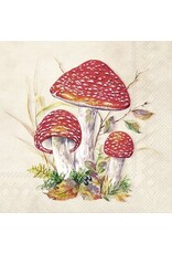 Toad-Cream - Paper Cocktail Napkins