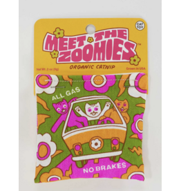 Catnip Toy