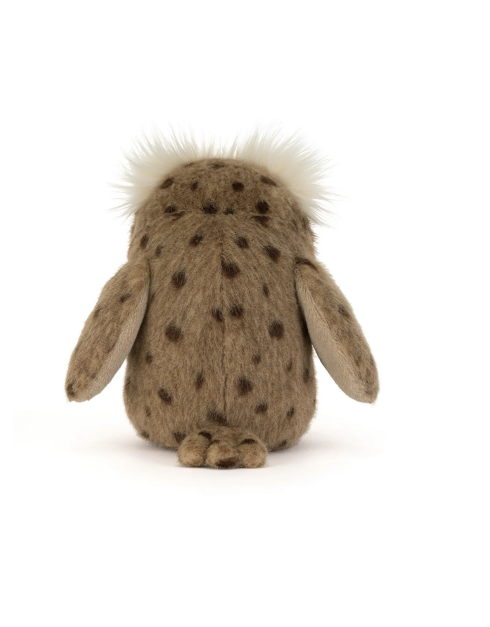 Tawoola Owl