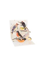 Just Because - Backyard Birds
