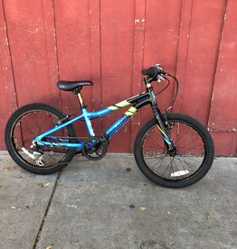 Raleigh Rowdy - geared kids bike - 20in - blue/black (AS-IS)
