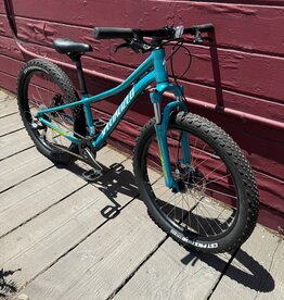 Specialized RipRock - 24" Wheels - Teal
