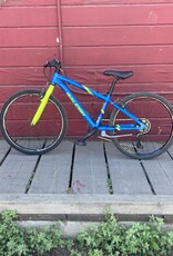 Raleigh Raleigh Cadent 24" blue and lime green