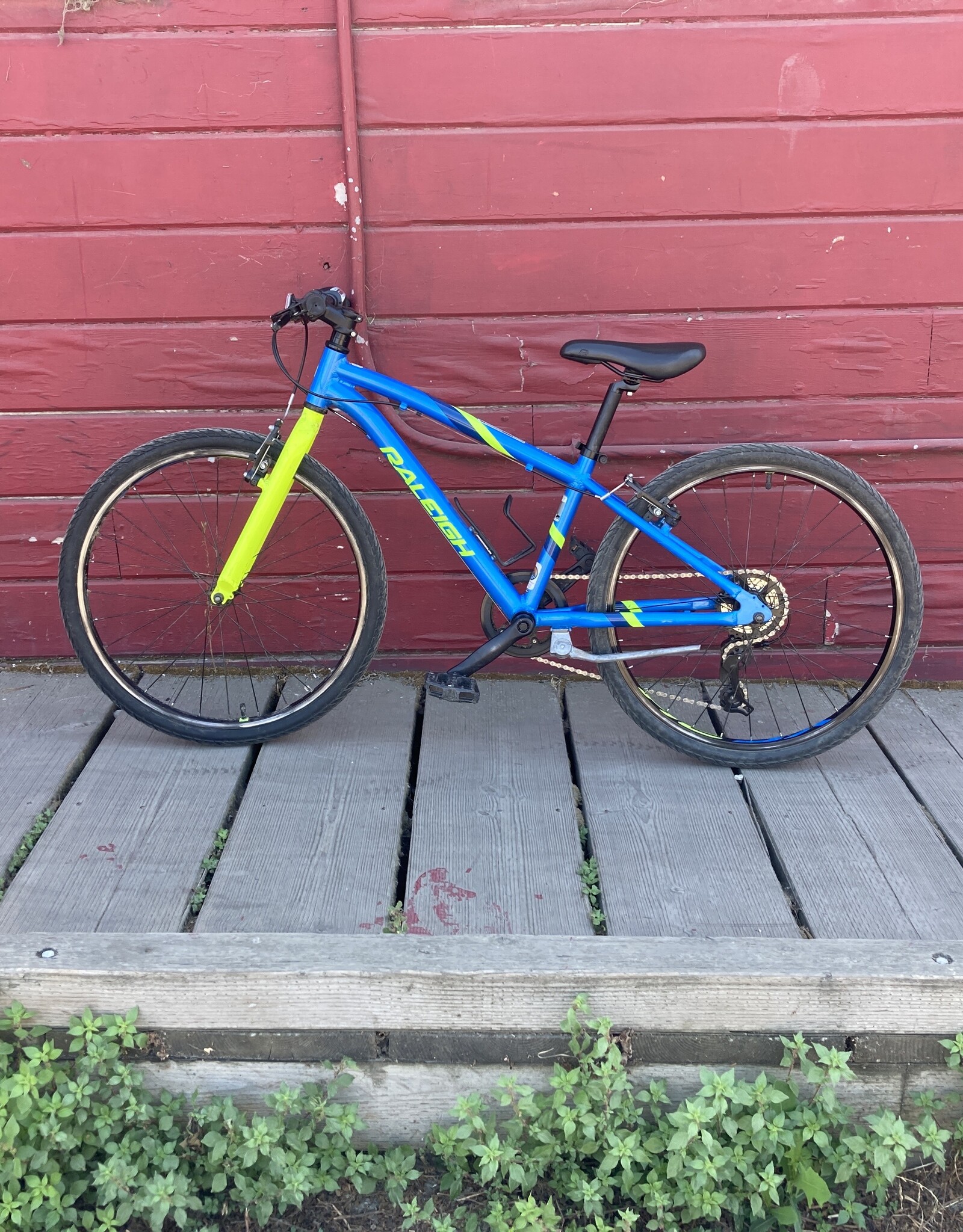 Raleigh Raleigh Cadent 24" blue and lime green
