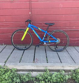 Raleigh Raleigh Cadent 24" blue and lime green