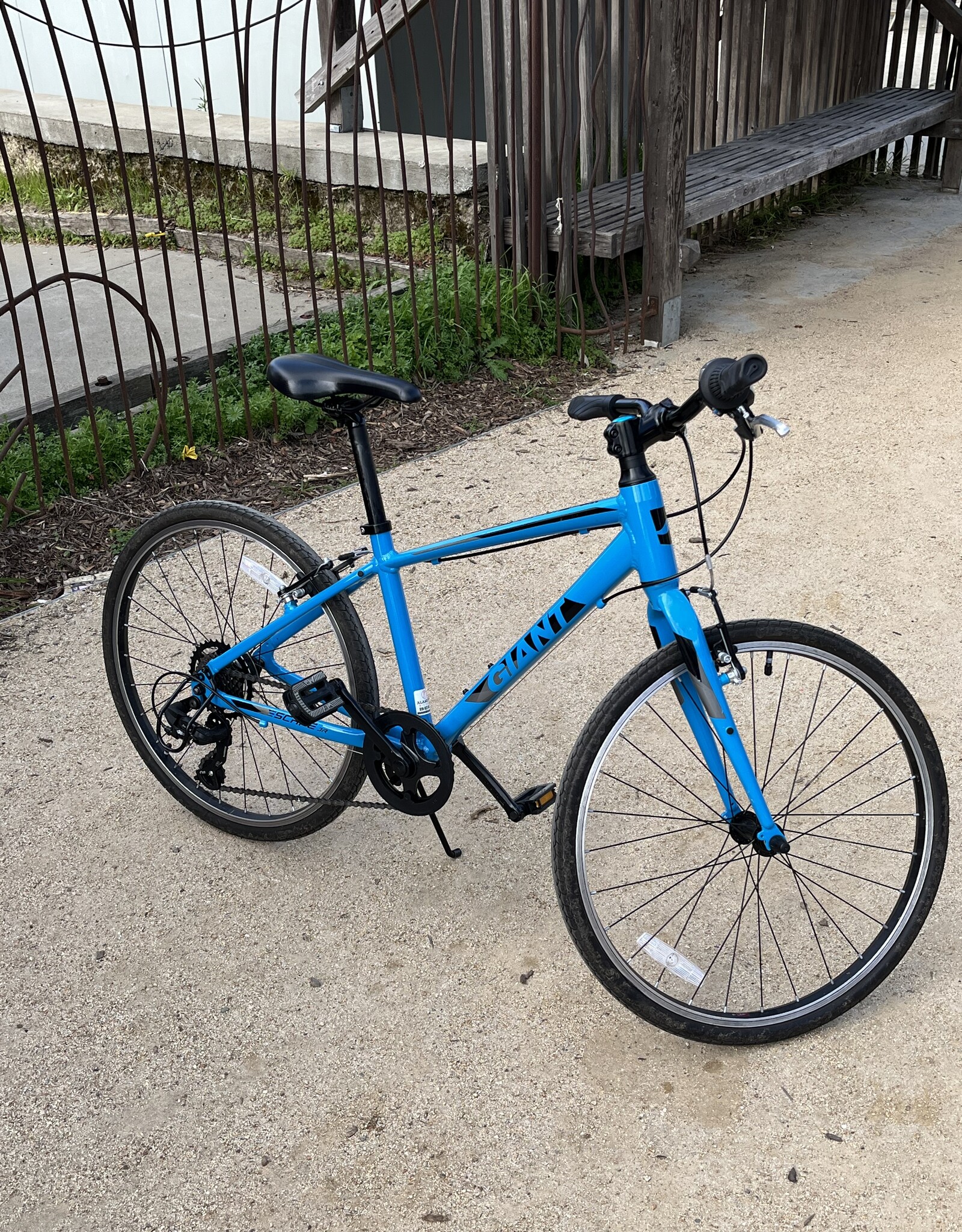 Giant Escape JR - 24" - Blue