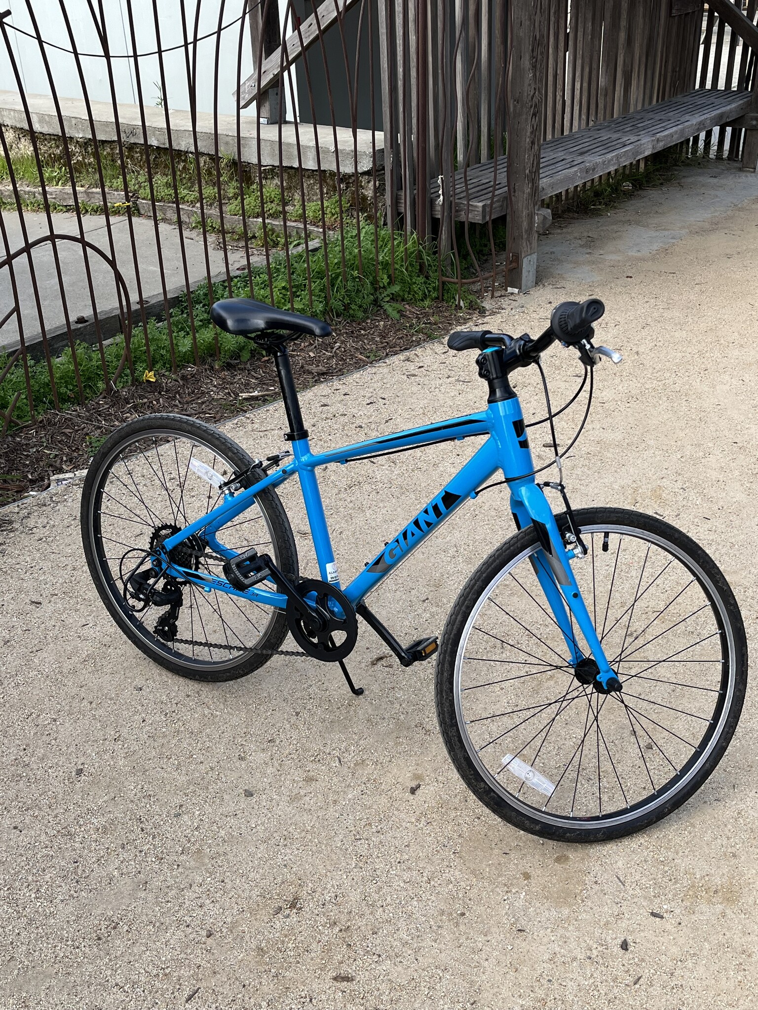 GIANT ESCAPE JR 24インチ Giant Kids' Escape Jr 24 Bicycle 2021 - Philbrick's Ski