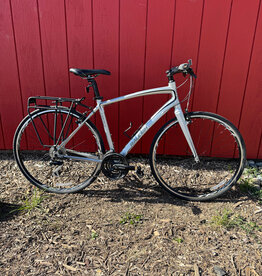 Raleigh Cadent FT - 54cm - Silver