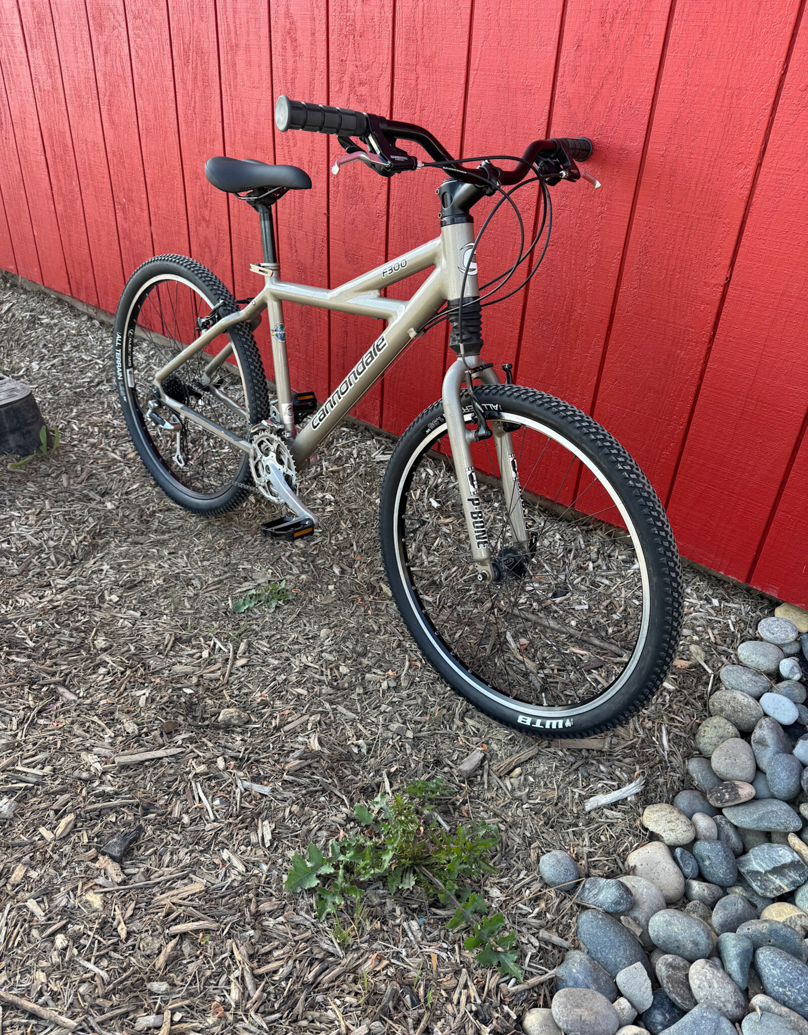 Cannondale F300 - 16" - Champagne