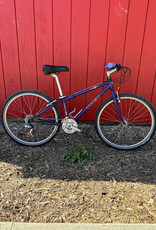 Trek 850 - 13" - Purple