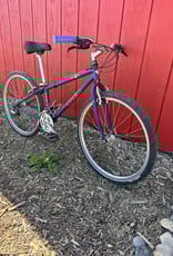 Trek 850 - 13" - Purple