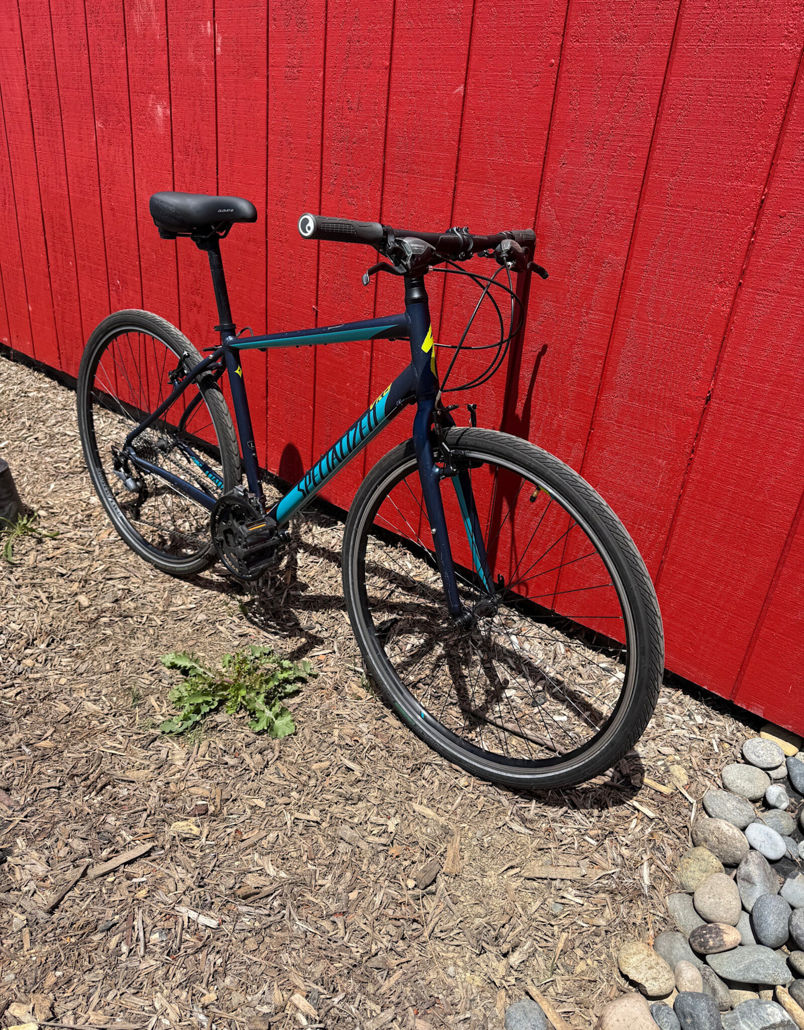 Specialized Vita - Large - Blue