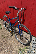 Giant Cypress - 17" - Blue/Silver