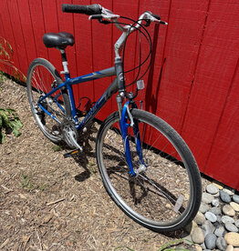Giant Cypress - 17" - Blue/Silver