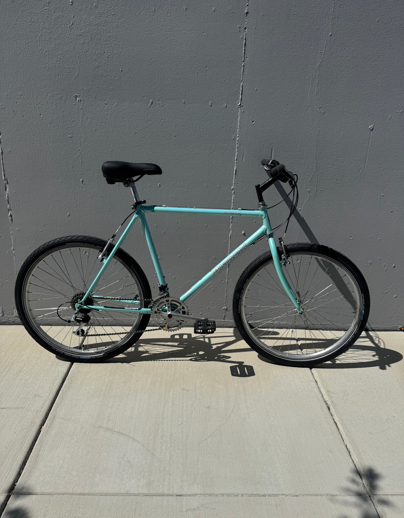 Bianchi Nyala - 21" - Celeste