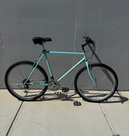 Bianchi Nyala - 21" - Celeste