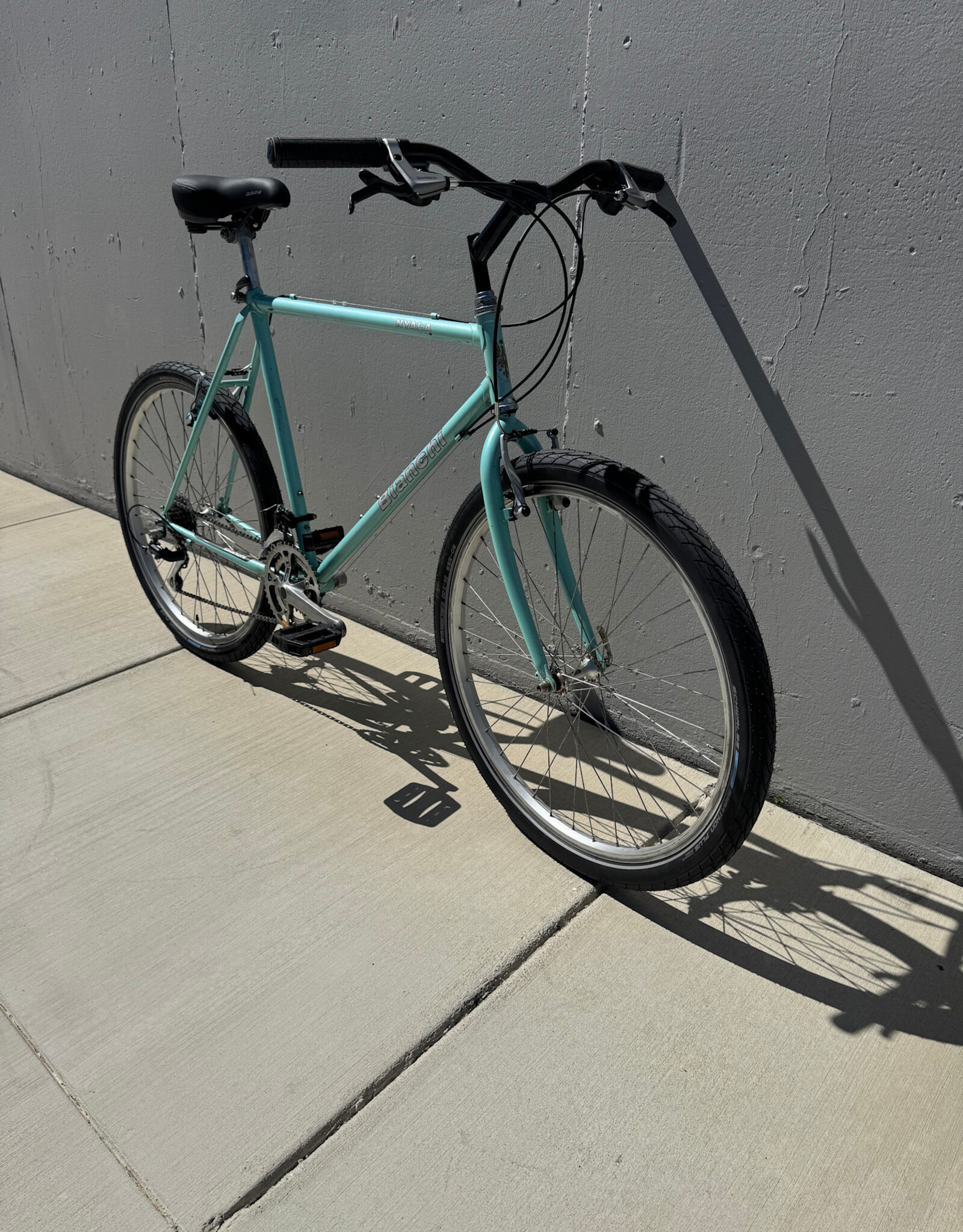 Bianchi Nyala - 21" - Celeste