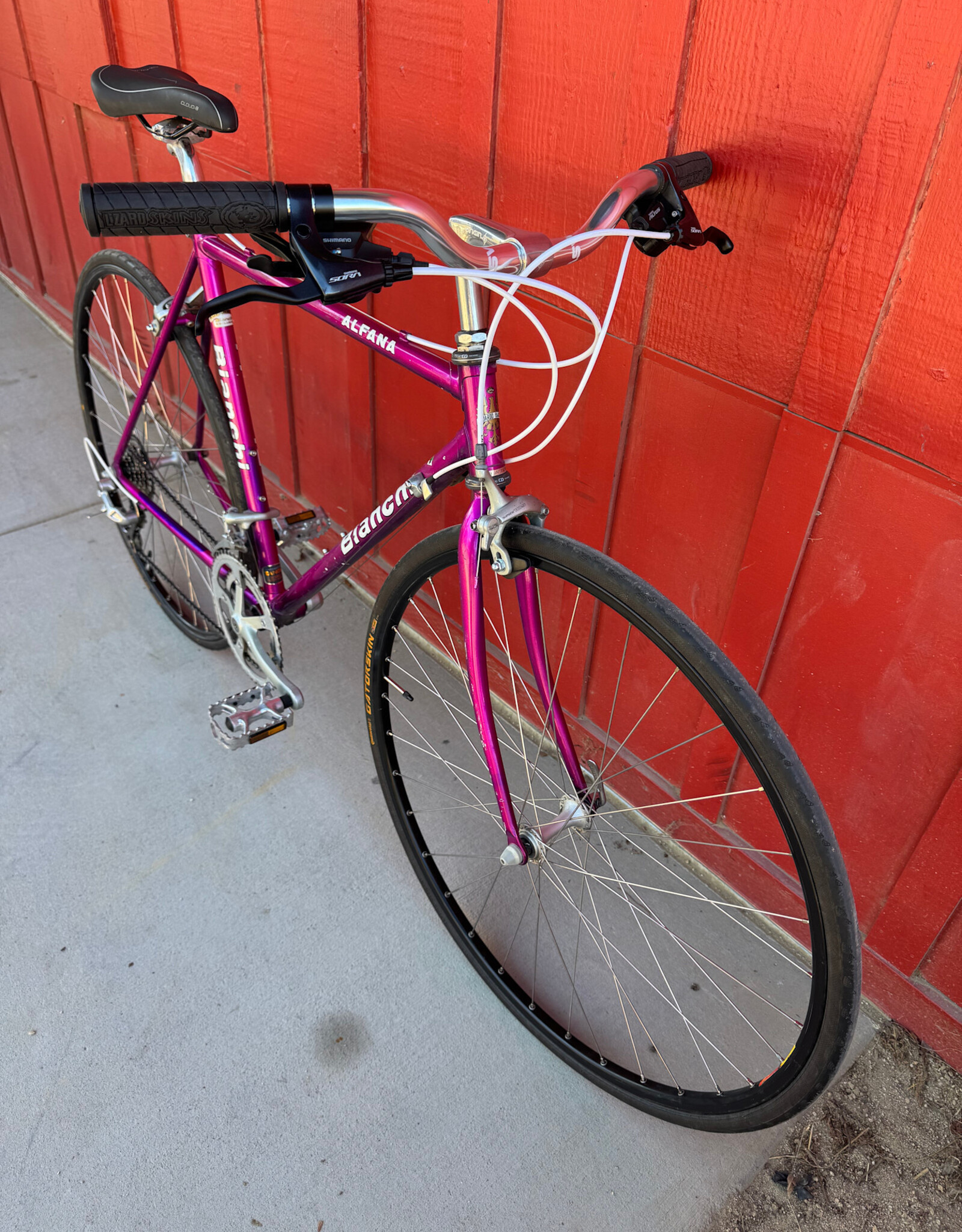 Bianchi Alfana - 51cm - Magenta