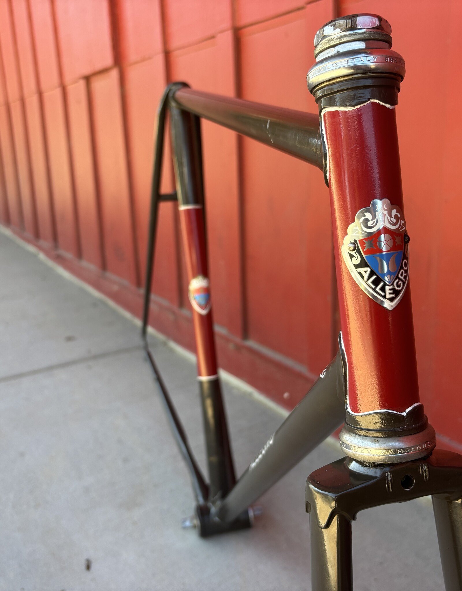 Allegro 56cm grey/red