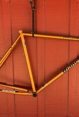 Bianchi peregrine 21” orange