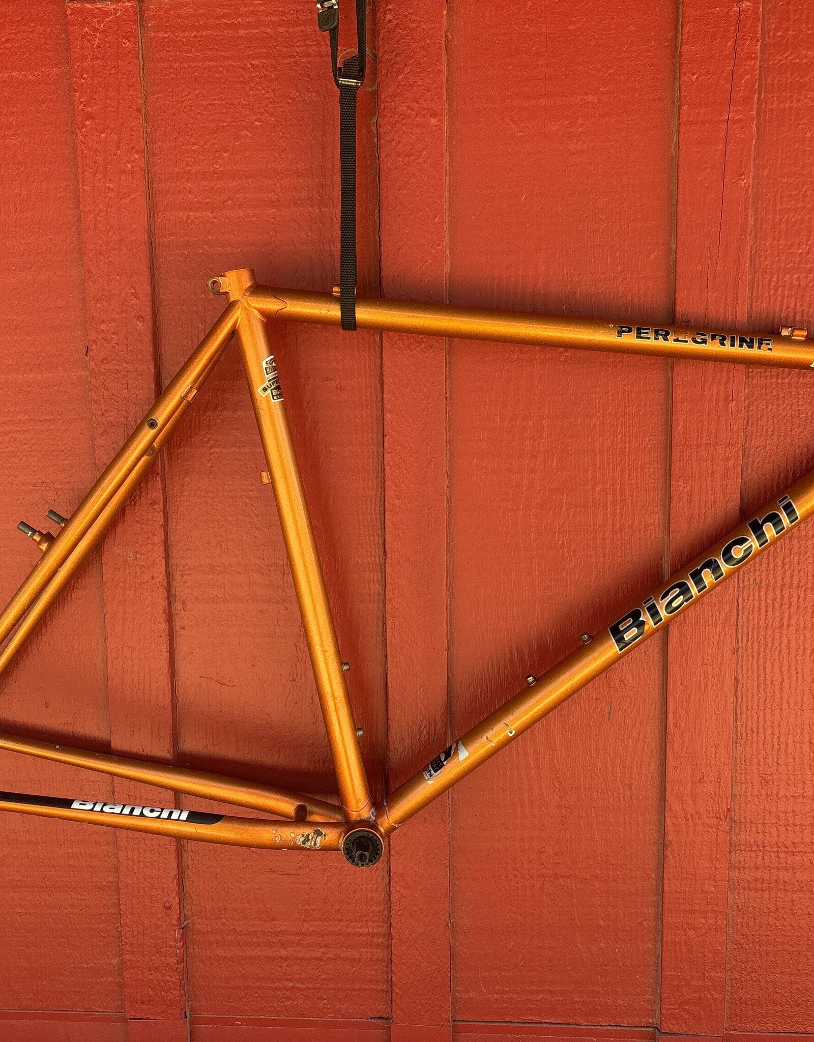 Bianchi peregrine 21” orange