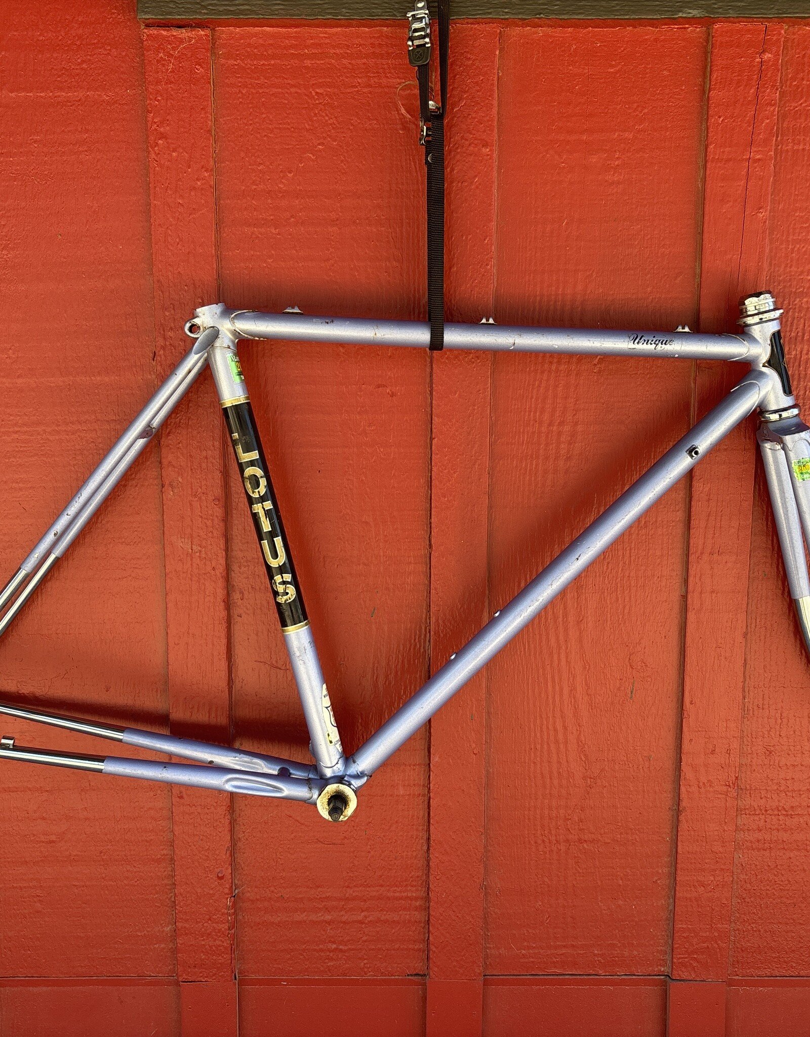 Lotus unique lavender 49cm