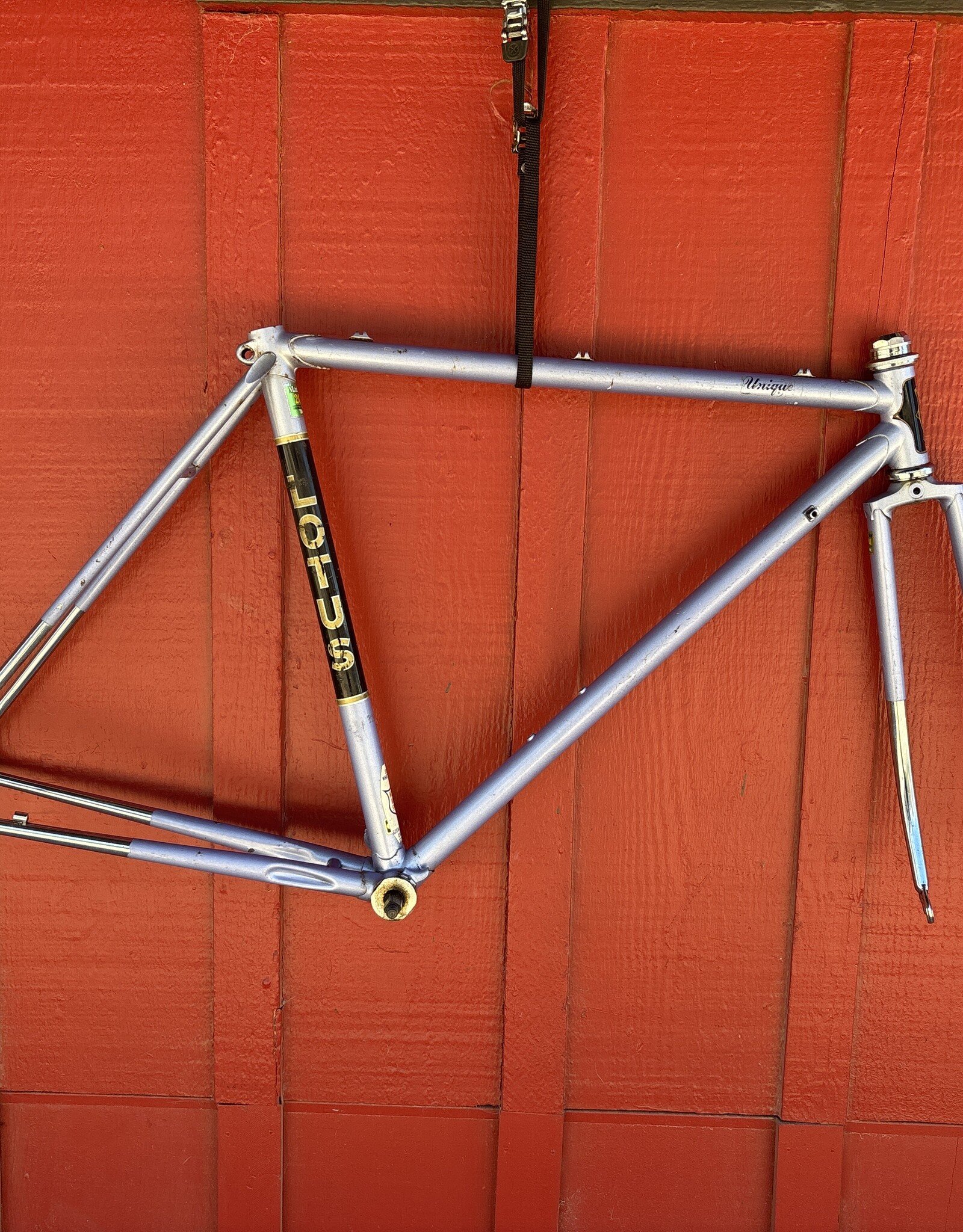 Lotus unique lavender 49cm