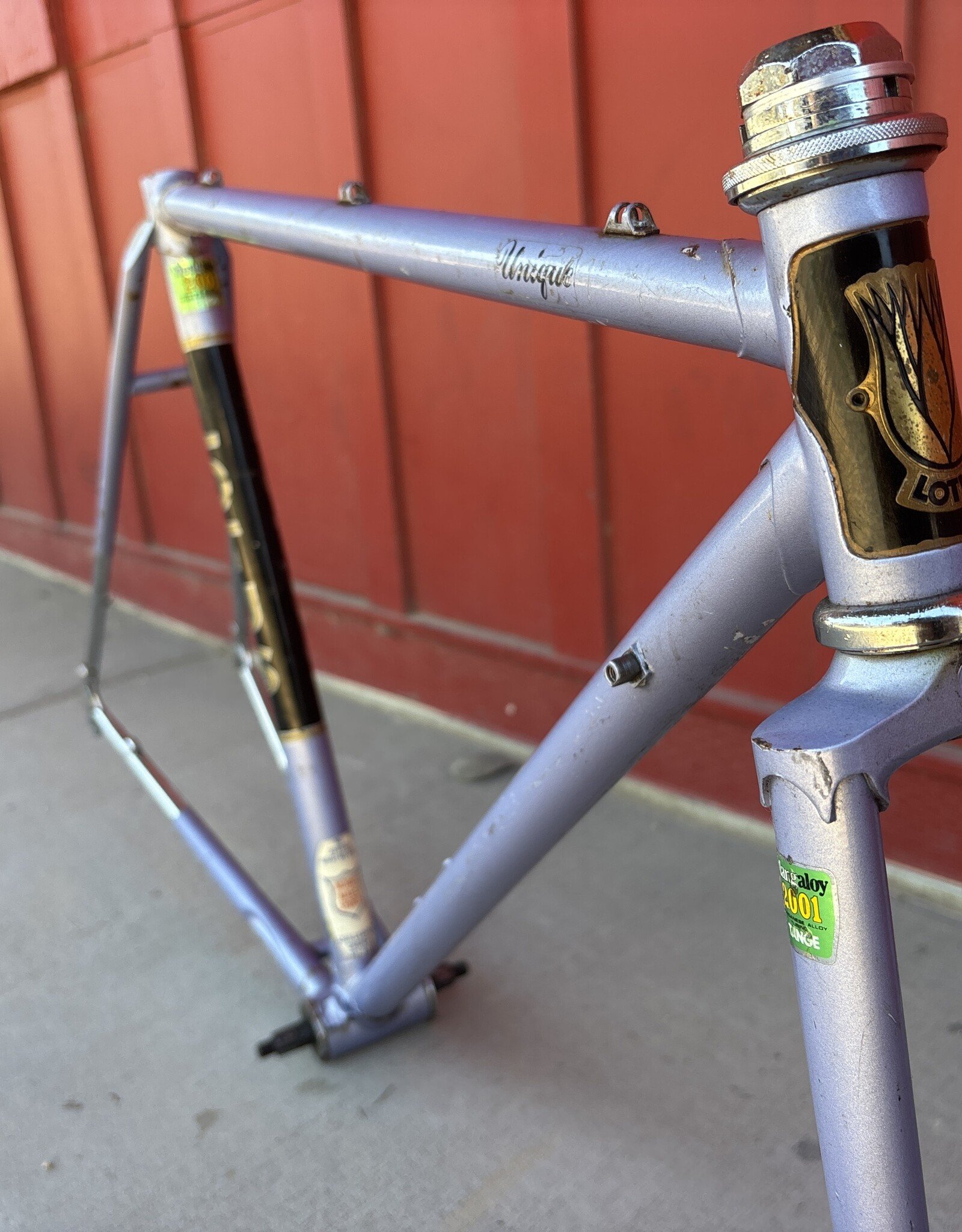 Lotus unique lavender 49cm