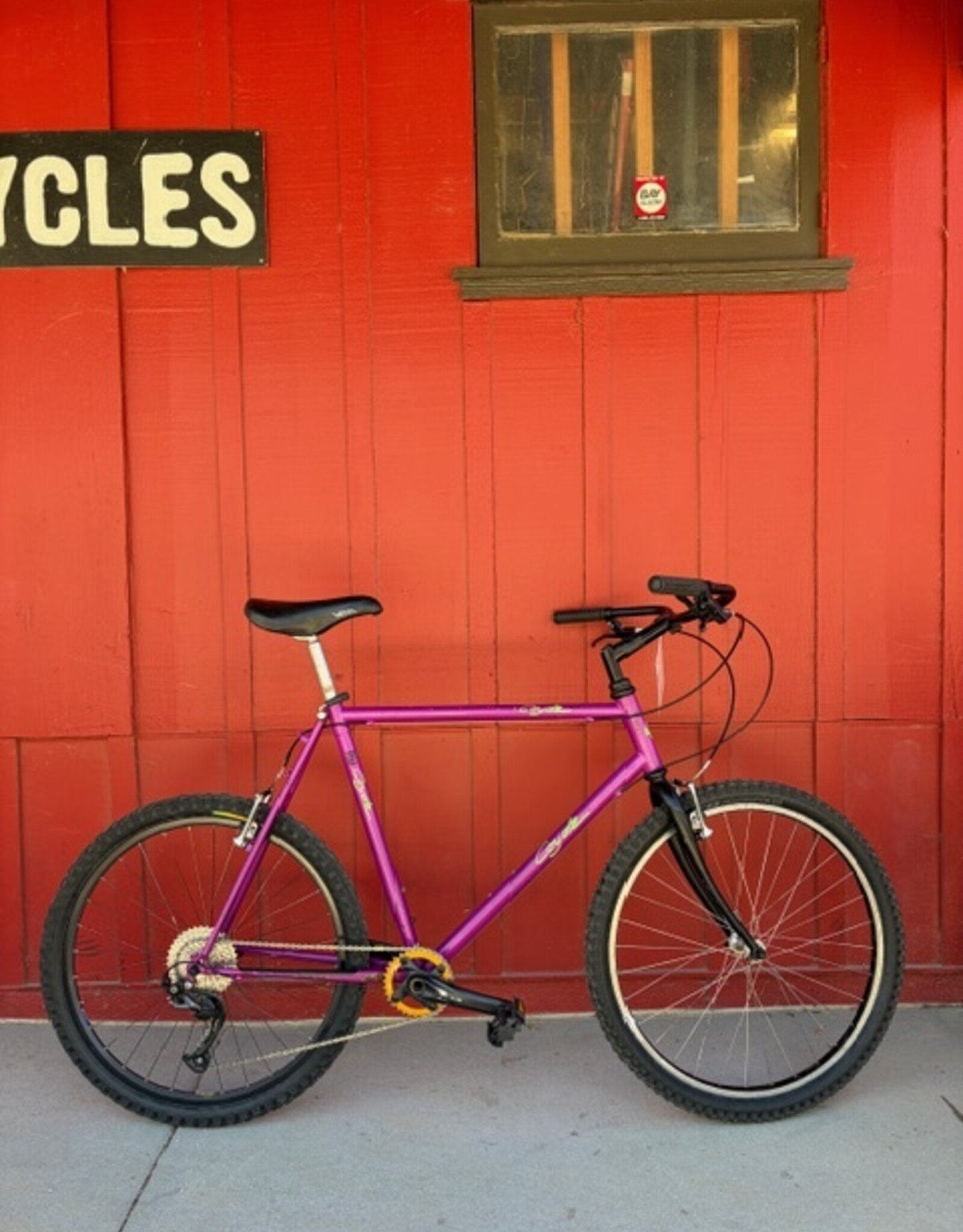 Coyote XXL MTB Purple