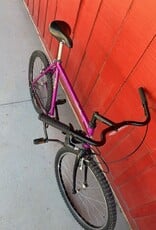 Coyote XXL MTB Purple
