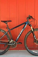 Raleigh Tekoa sport 17"