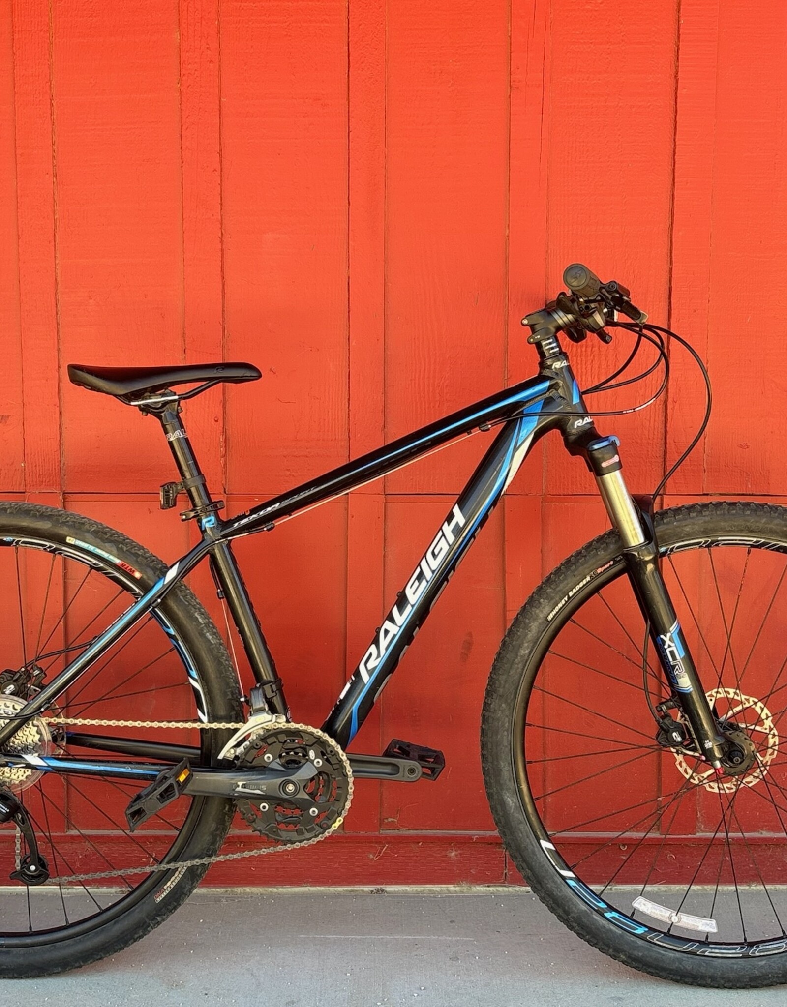 Raleigh Tekoa sport 17"