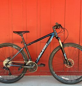 Raleigh Tekoa sport 17"