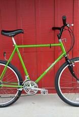 Diamondback Ascent EX - green - XL