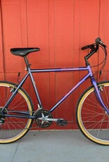 Specialized Rockhopper 19" Large Purple
