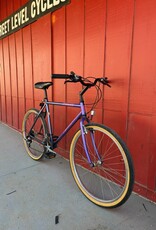 Specialized Rockhopper 19" Large Purple
