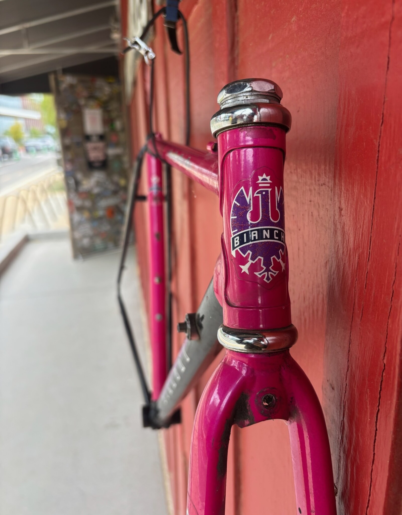 Bianchi Eros 49x52 cm Pink and Black