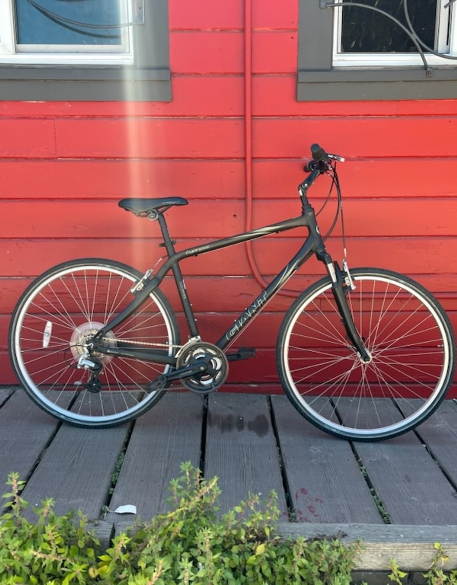 Giant Giant Cypress 20" Black/Grey