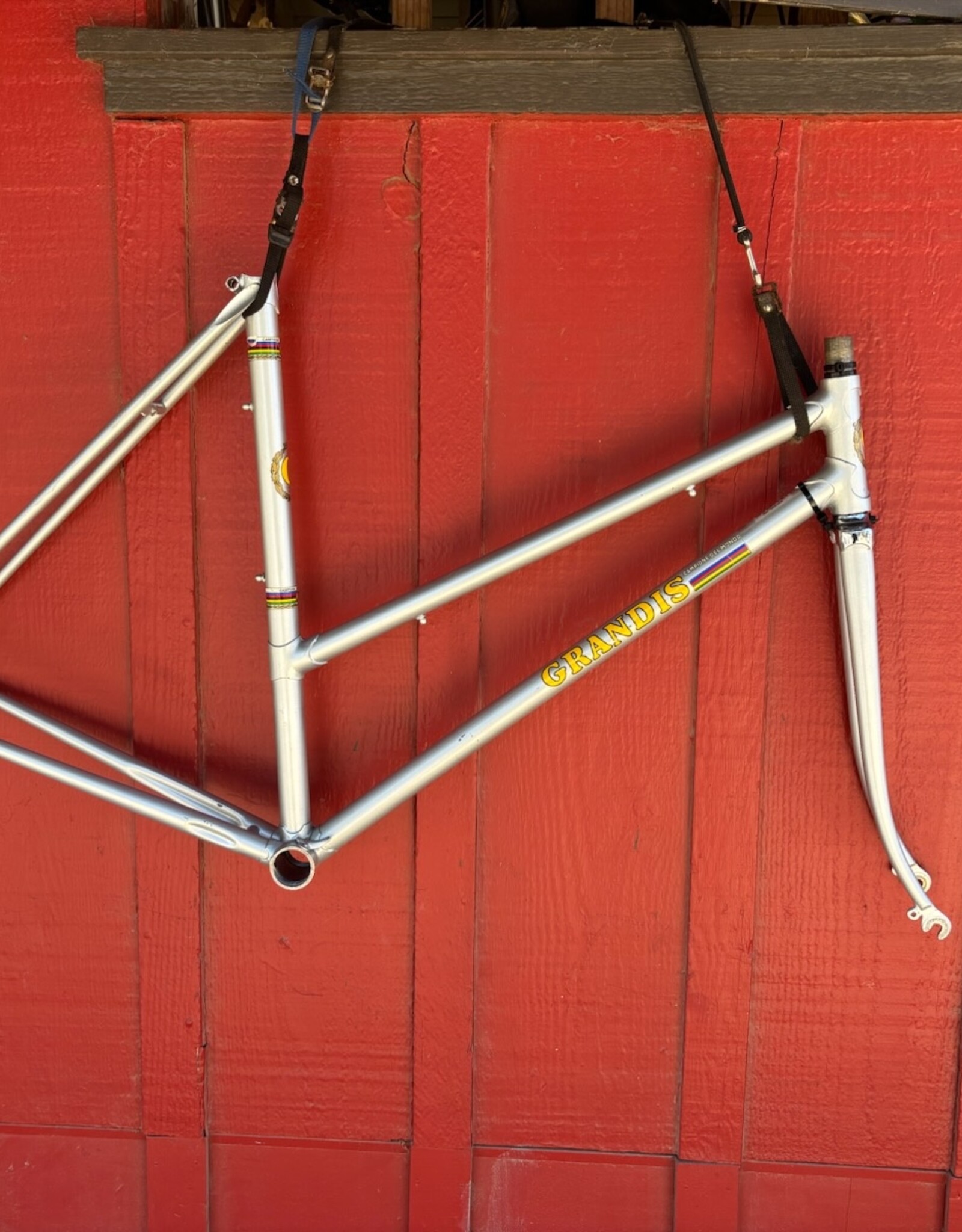 Grandis Campione del Mondo Donna 52cm Grey