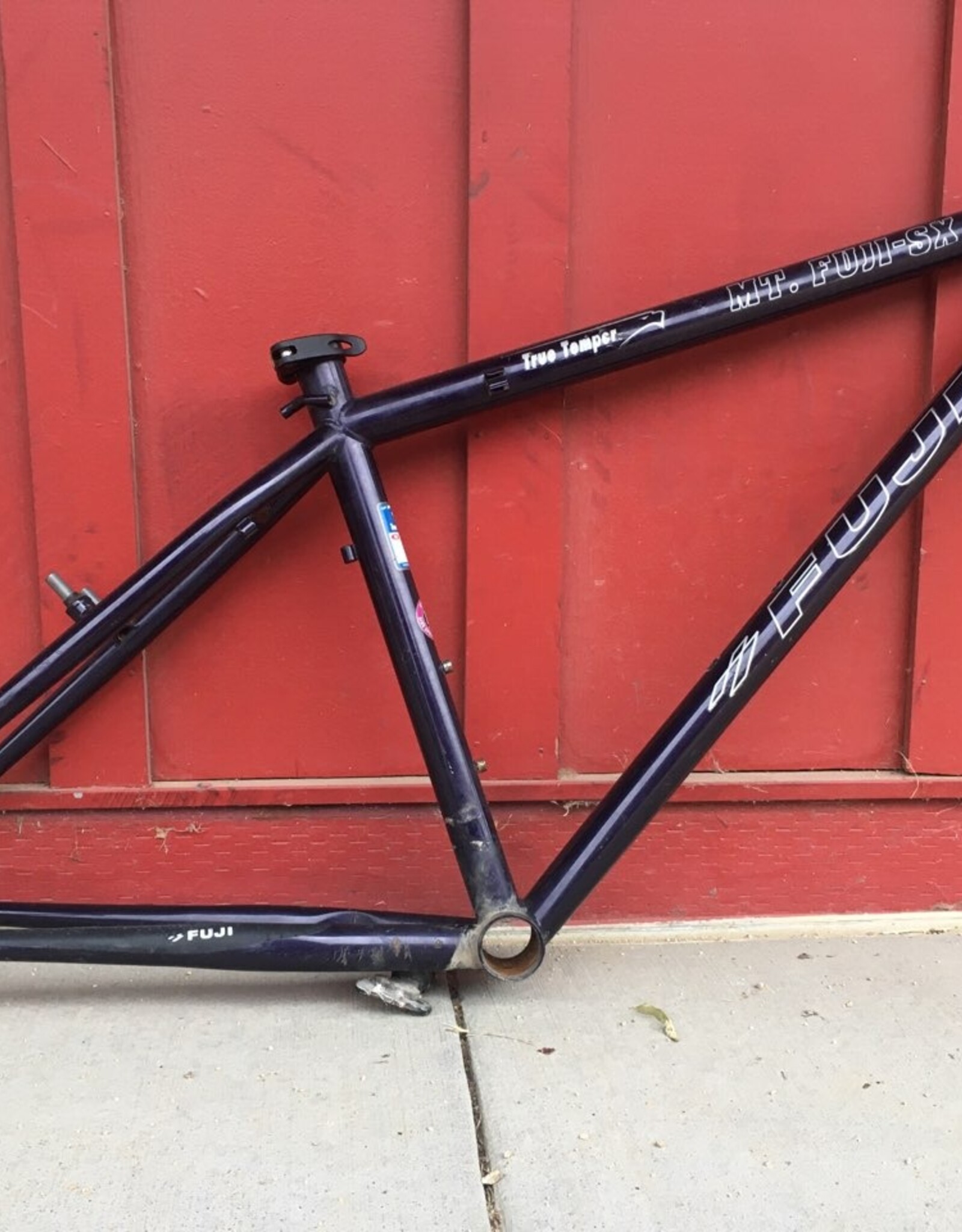 Mt. Fuji-SX eggplant 15"