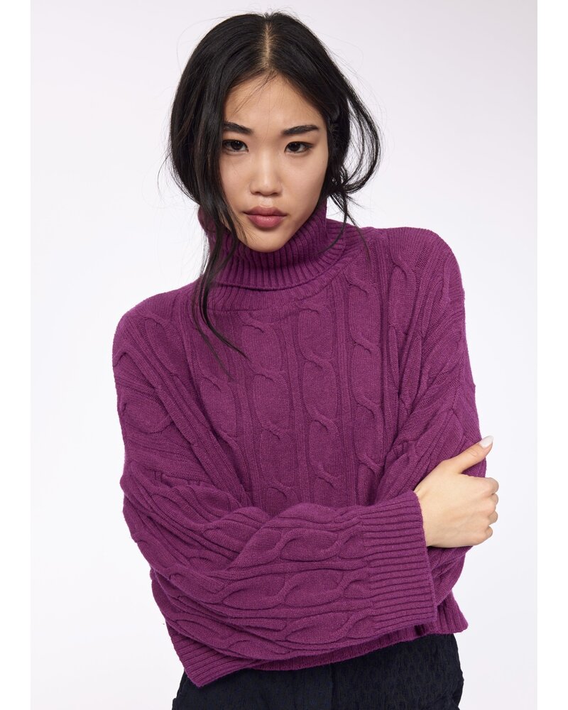 PISTACHE Cable Knit Turtle Neck