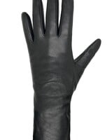AUCLAIR SOFIA Long Leather Glove