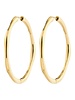 PILGRIM HAZE Gold Plated Hoop