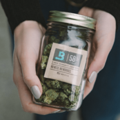Boveda Humidifier Pack