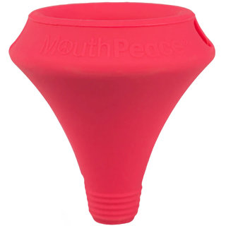 MouthPeace WaterPipe Filter